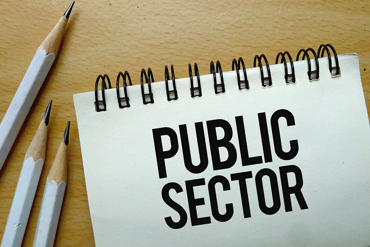 PUBLIC SECTOR